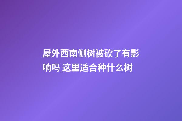 屋外西南侧树被砍了有影响吗 这里适合种什么树